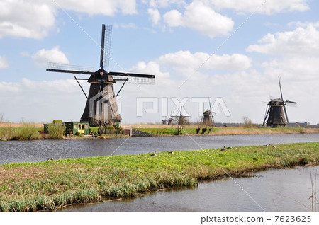 風車小組小孩堤防荷蘭 7623625