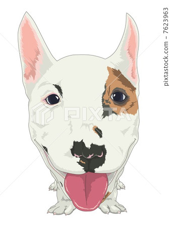 微型鬥牛梗 7623963