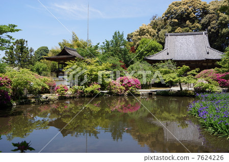Nagakudaji Hondo Sakuradon Poultry Pond Nagakudaji Hondo Sakuradon Poultry Pond 7624226