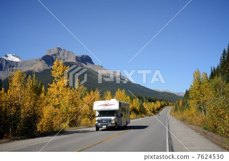 Yellow leaf Canada Icefield · Parkway 7624530