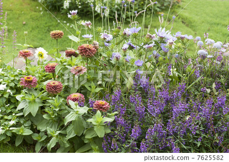 Kobe Haibu Garden herb garden 7625582