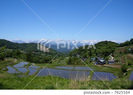 Shinshu Ooka and the spring of the North Alps 7625584