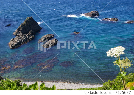 Shakotan Cape Shimowake Coast 7625627