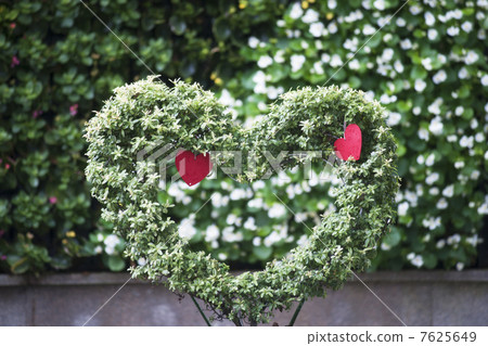 Heart shaped tree 7625649
