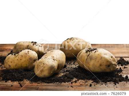 raw potatoes on the ground raw potatoes on the ground 7626079