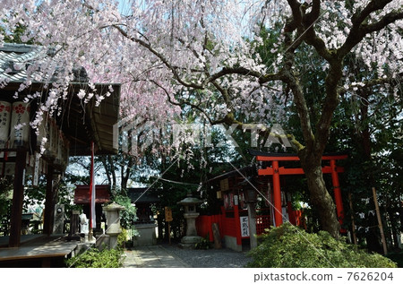 Inside the precincts of the fireworks Inside the precincts of the fireworks 7626204