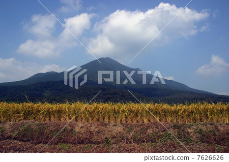 Tsukuba-shi Kami-oshima 01 Mt. Tsukuba and ear rice Tsukuba-shi Kami-oshima 01 Mt. Tsukuba and ear rice 7626626
