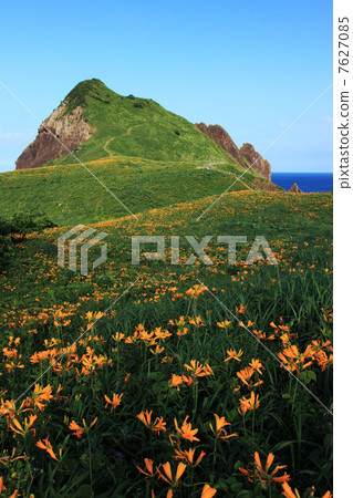 Tobishima licorice and Ohno Kameyama 7627085