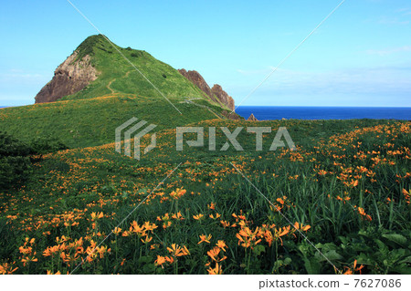 Tobishima licorice and Ohno Kameyama 7627086