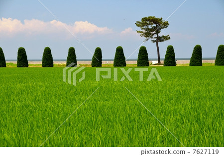 Monobamatsu站在海邊 7627119