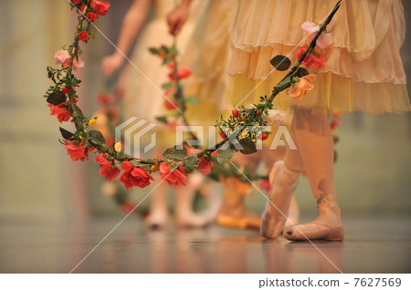 Flowers and Ballet 7627569