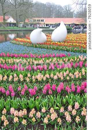 荷蘭庫肯霍夫公園 荷蘭庫肯霍夫公園 7628059