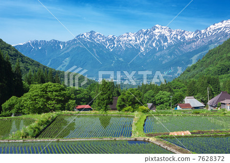 Nagano Hakuba village blue ogre 7628372