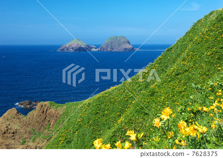 新潟佐渡市大野龜 新潟佐渡市大野龜 7628375