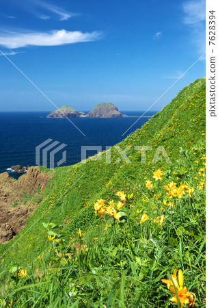 Niigata Sado City Ohno Turtle Niigata Sado City Ohno Turtle 7628394