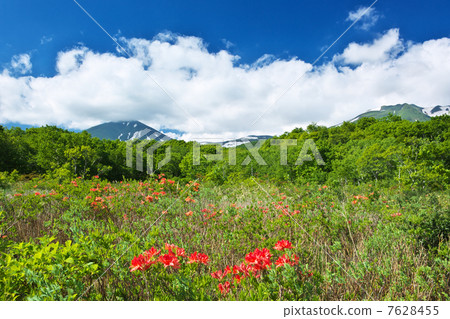 青森市Tashihira泥潭 7628455