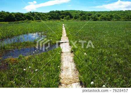 Aomori City Tashihira Mire 7628457