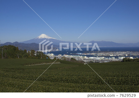 Mt. Fuji from Nihondaira Mt. Fuji from Nihondaira 7629529