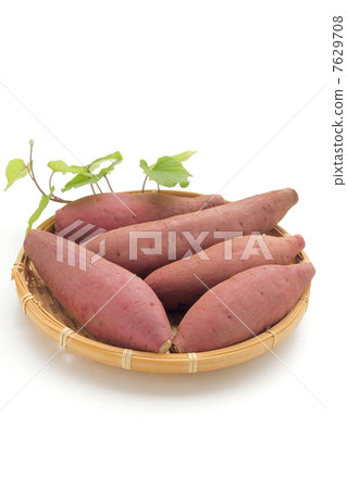 sweet potato 7629708