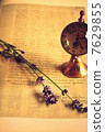 Lavender and watch 7629855