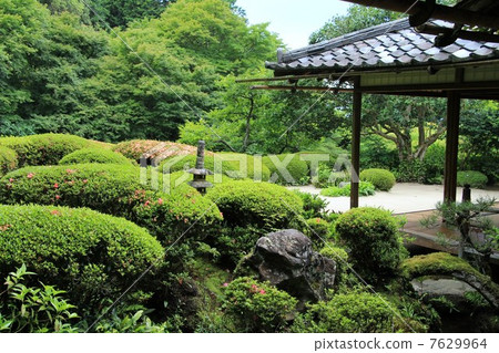 Shisendo花園 7629964