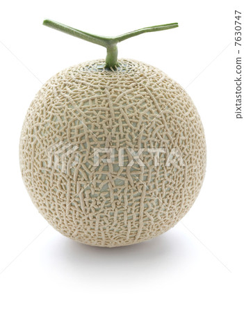 cantaloupe cantaloupe 7630747