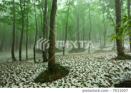 Aomori Aomori shi Hakkoda 7631007