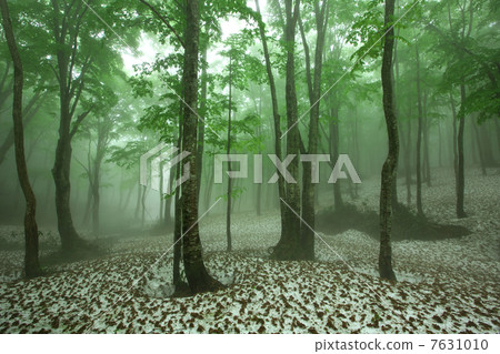 Aomori Aomori shi Hakkoda 7631010