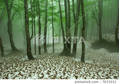 Aomori Aomori shi Hakkoda 7631012