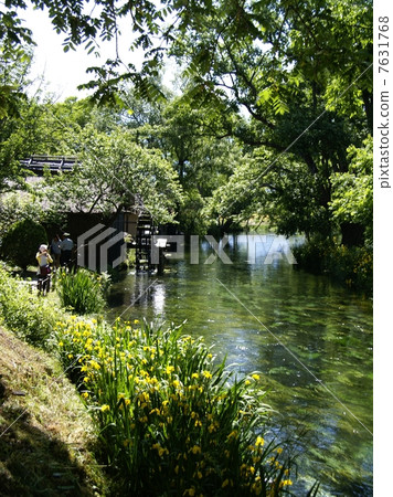 信州大芥末農場 7631768