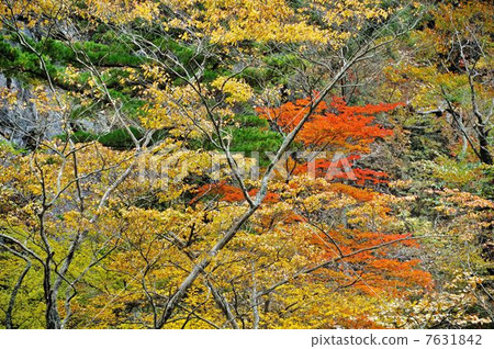 Kinshū Natsuigawa Valley Walking Tour 7631842
