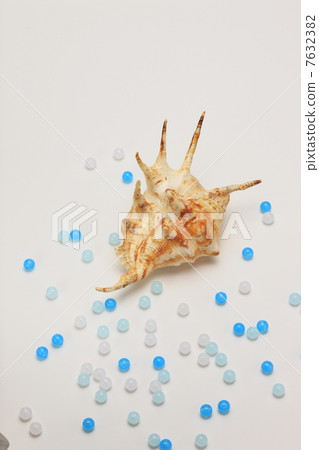 Summer image Seashell and beads 7632382