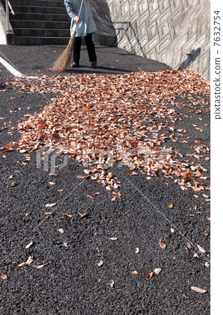 Cleaning leaves 7632754