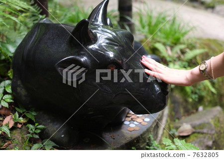 Red eyes Iga beef 7632805