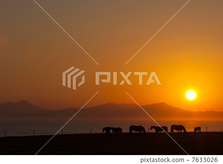 Hirosaki Abashiri海角Nog Nogi海角和日出的Gagaku馬 Hirosaki Abashiri海角Nog Nogi海角和日出的Gagaku馬 7633026