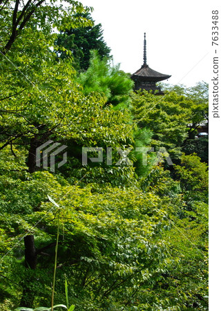 Watch the Koyasu Tower from the stage of Kiyomizudera (Kiyomizu Temple / Kyoto City Higashiyama Ward Shimizu) Watch the Koyasu Tower from the stage of Kiyomizudera (Kiyomizu Temple / Kyoto City Higashiyama Ward Shimizu) 7633488