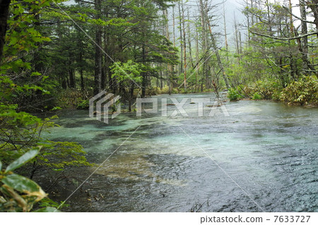 Kamikochi rain noodle marshland 7633727
