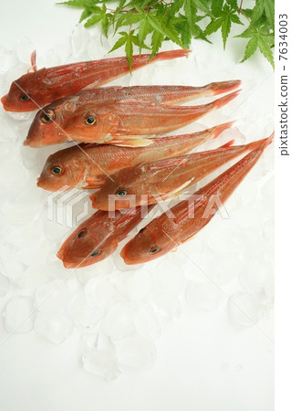 Kanagashira Kanagashira 7634003