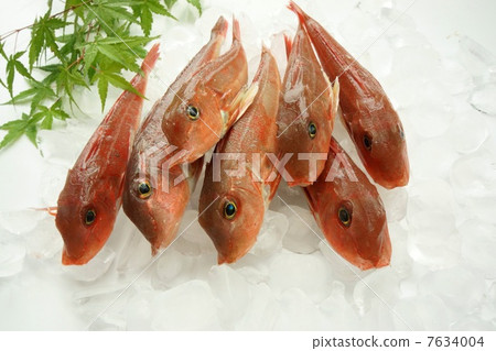 Kanagashira Kanagashira 7634004