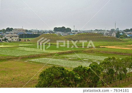 Sakitama Walking · Seeing Shogun Mountain Kofun from Inari Shomurai Mound Sakitama Walking · Seeing Shogun Mountain Kofun from Inari Shomurai Mound 7634181