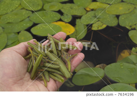 Junsai選擇了 7634196