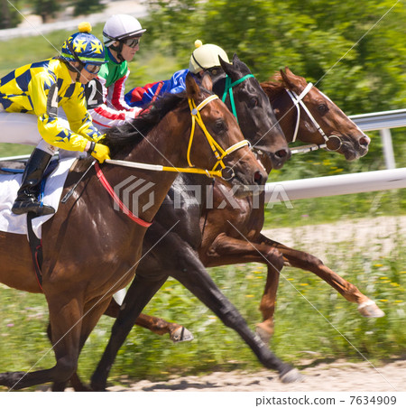Horse racing in Pyatigorsk. Horse racing in Pyatigorsk. 7634909