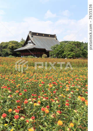 Beniflora and Changfukuji Temple 7635336