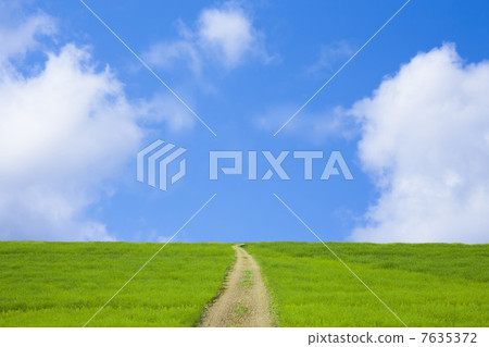 大草原和路和藍天 7635372