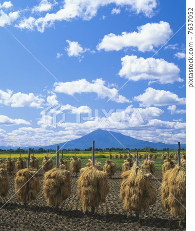 鄉村景觀 7637052