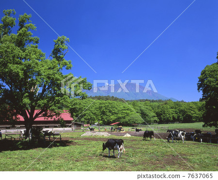 Koiwai農場 Koiwai農場 7637065