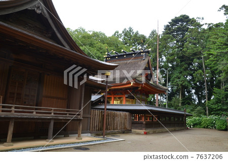 水戶八幡宮 水戶八幡宮 7637206