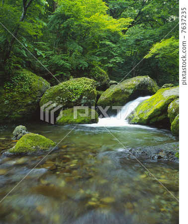 Clear stream Clear stream 7637235