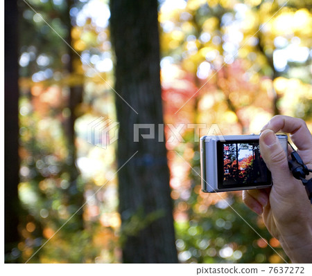Kyoto Komyoji Temple 7637272