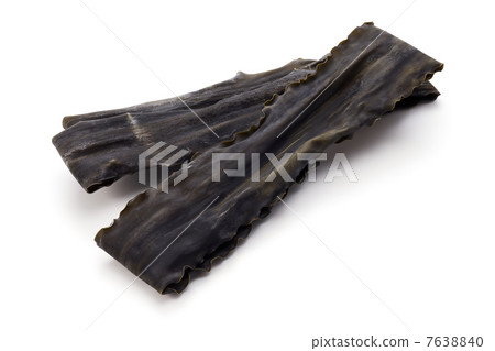 Kelp 7638840